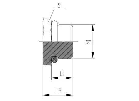 Blanking Plug